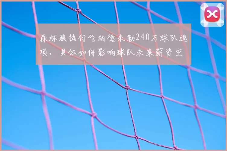 森林狼执行伦纳德米勒240万球队选项，具体如何影响球队未来薪资空间？